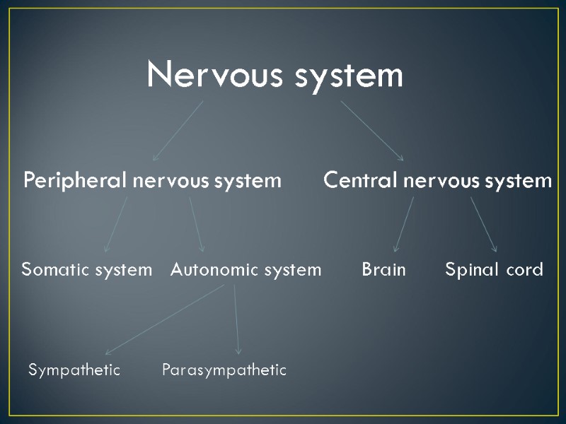 Nervous system Peripheral nervous system Central nervous system Somatic system Autonomic system Sympathetic Parasympathetic